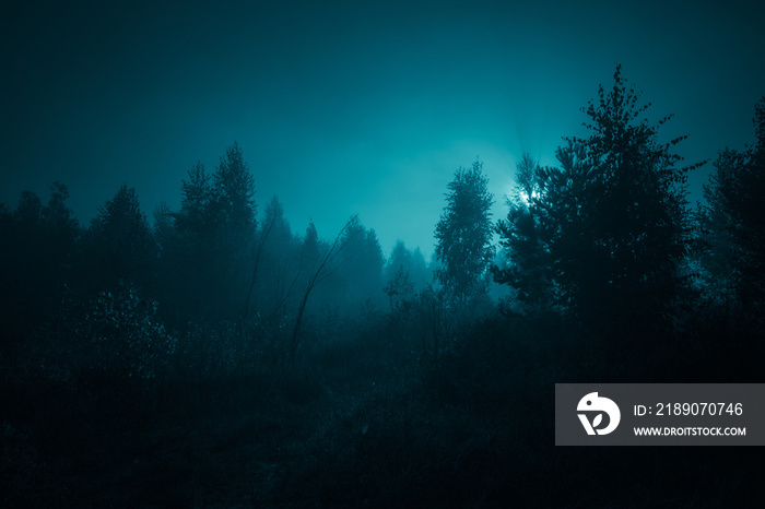 寒冷色调的夜晚神秘景观——满月前森林树木的剪影