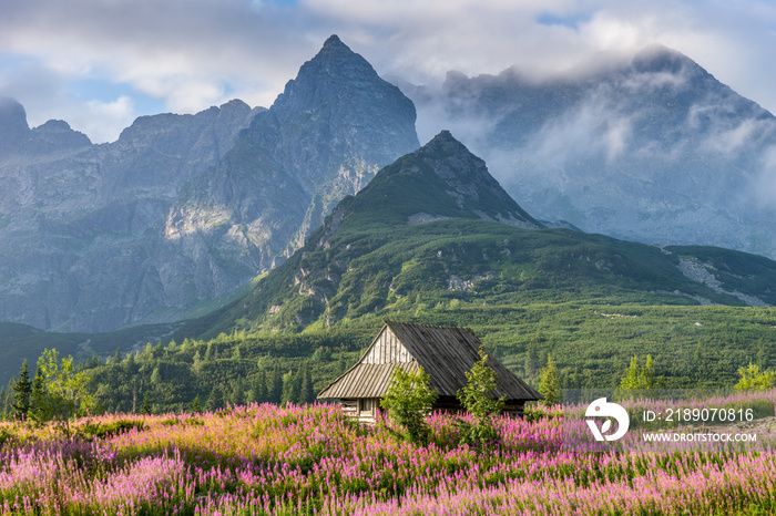 Tatra mountains landscape