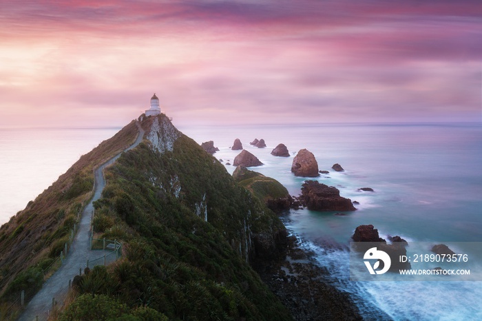 Nugget Point is one of the most distinctive landforms along the Otago coast of New Zealand. Its a s