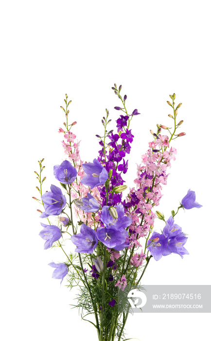 bouquet of meadow flowers isolated