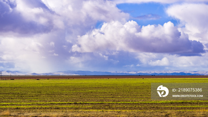 加利福尼亚中央谷的一块地上新长出的庄稼；天空中覆盖着风暴云；加州