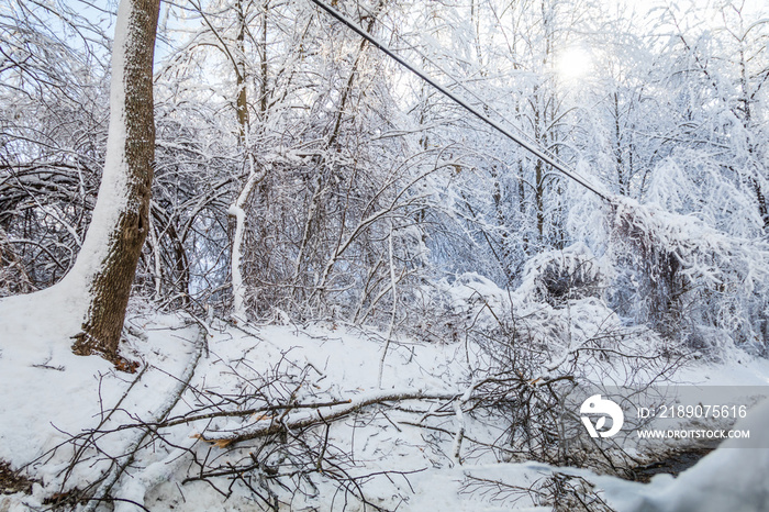 Downed power lines from ice and snow winter storm