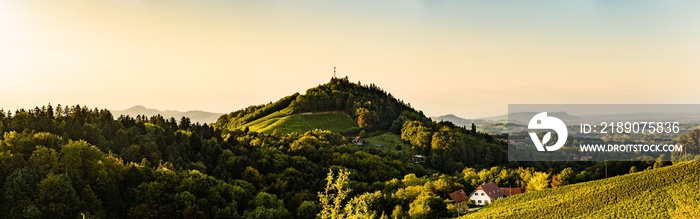 施蒂利亚/奥地利：葡萄园Sulztal Leibnitz地区著名的目的地葡萄酒街地区南施蒂利亚，