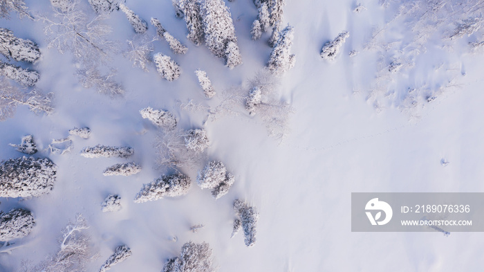 Aerial view from drone of frozen snowy peaks of endless coniferous forest trees in Lapland National 