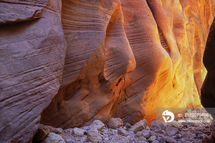 Buckskin Gulch Slot Canyon的景观在反射光下闪闪发光，Coyote Buttes Paria Canyon Vermi