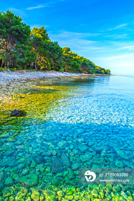 Beach in Croatia, Istria Peninsula