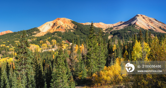 百万美元高速公路上的秋天阿斯彭风景——科罗拉多落基山脉