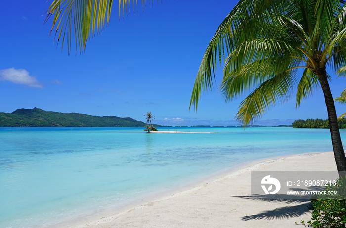 View of a tropical landscape with palm trees, white sand and the turquoise lagoon water in Bora Bora