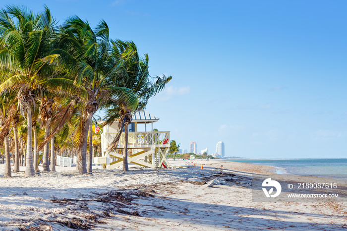 Beautiful Crandon Park Beach located in Key Biscayne in Miami, Florida, USA. Palms, white sand and s