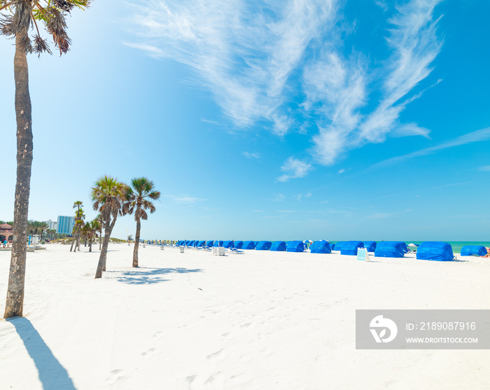 White sand and palm trees in Clearwater shore