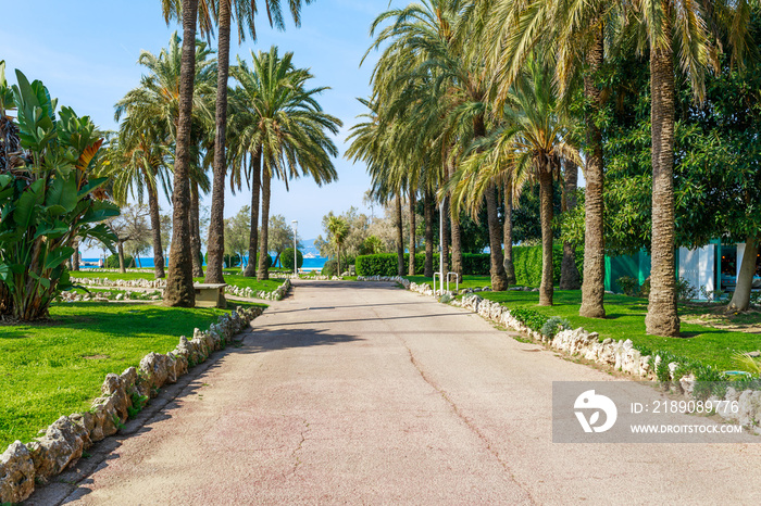 Panorama of Cannes, Cote dAzur, France, South Europe. Nice city and luxury resort of French riviera