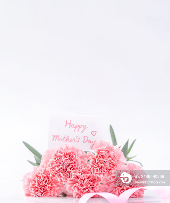 优雅绽放的俯视图甜粉色嫩康乃馨隔离在明亮的白色背景上