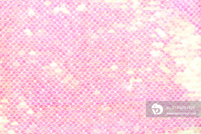 Sequins background. Background with shiny sequins on fabric. Abstract texture scales with pink sequi