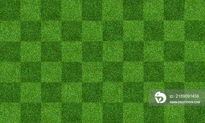 Green grass field background for soccer and football sports. Green lawn pattern and texture backgrou