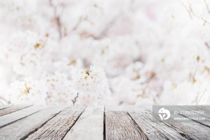 Empty wood table top and blurred sakura flower tree in garden background with vintage filter - can u