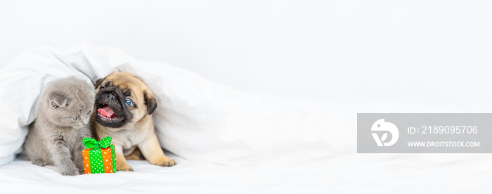 A small puppy and a kitten lie in an embrace next to a Christmas present under the covers on the bed