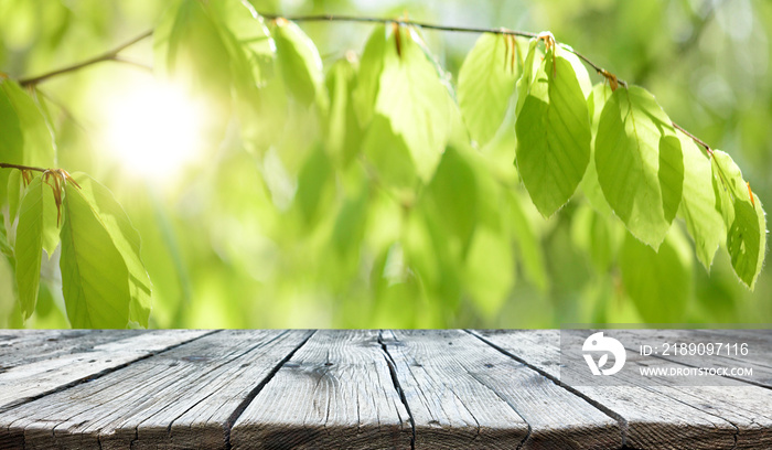 Empty old wooden table background