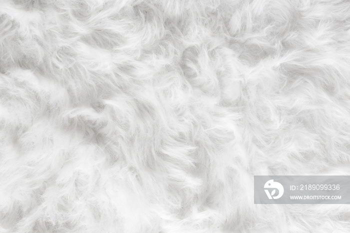 Sheep wool fur background texture wallpaper.