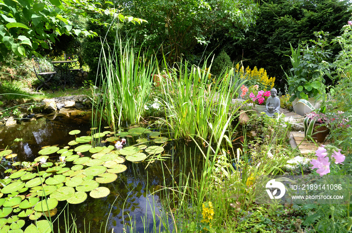 Garten Teich Seerosen Buddha