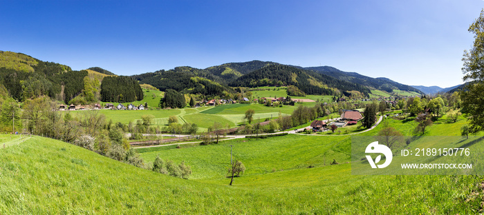 全景schaft im Gutachtal, Schwarzwald