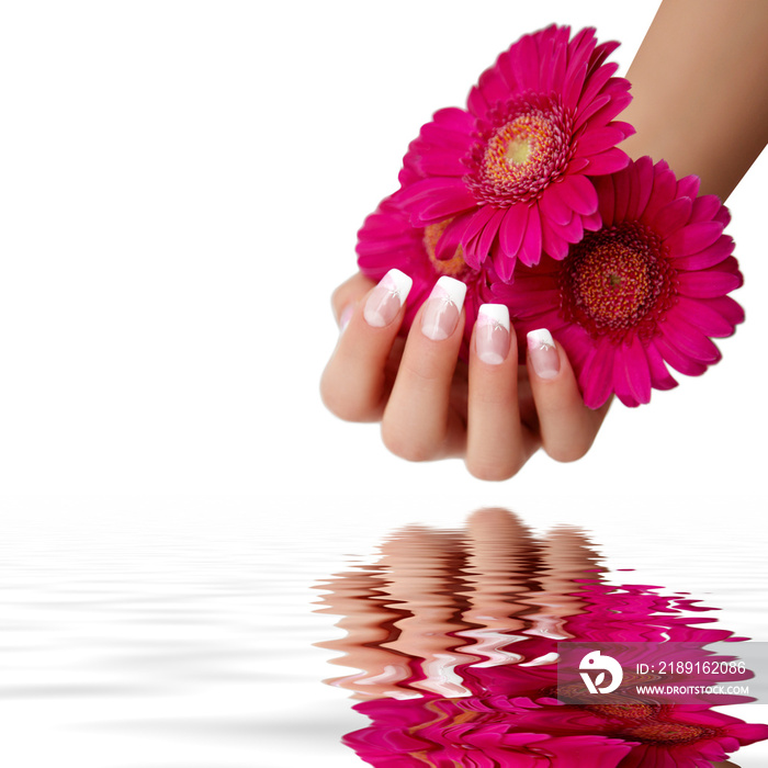 Hand mit einer Gerbera