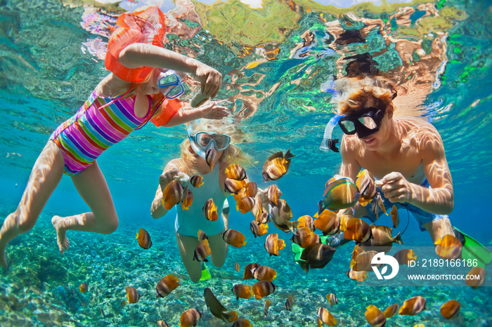 幸福的家庭-父亲，母亲，孩子带着浮潜面具在科拉岛和热带鱼一起潜水