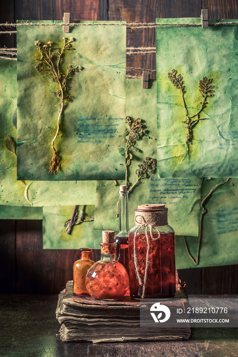 Unique herbalist workshop with dried herbs and flowers