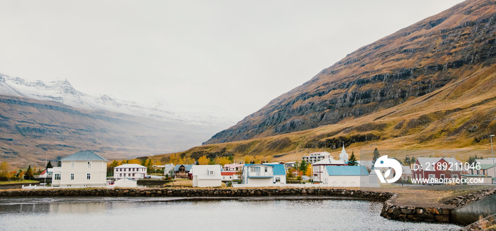 冰岛东海岸的渔村