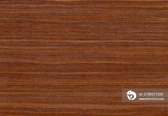 Walnut wood, can be used as background, wood grain texture