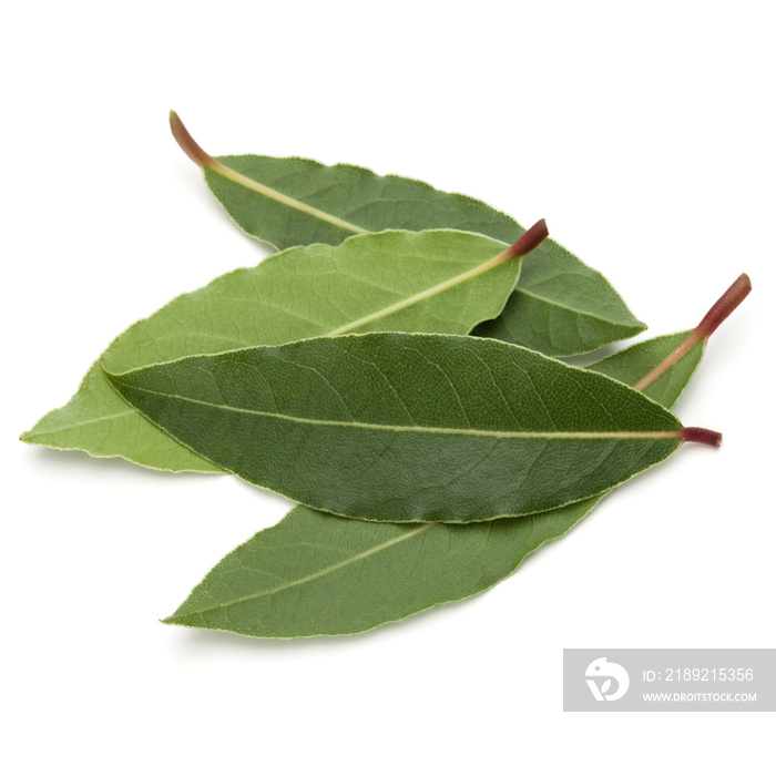 Aromatic bay leaves