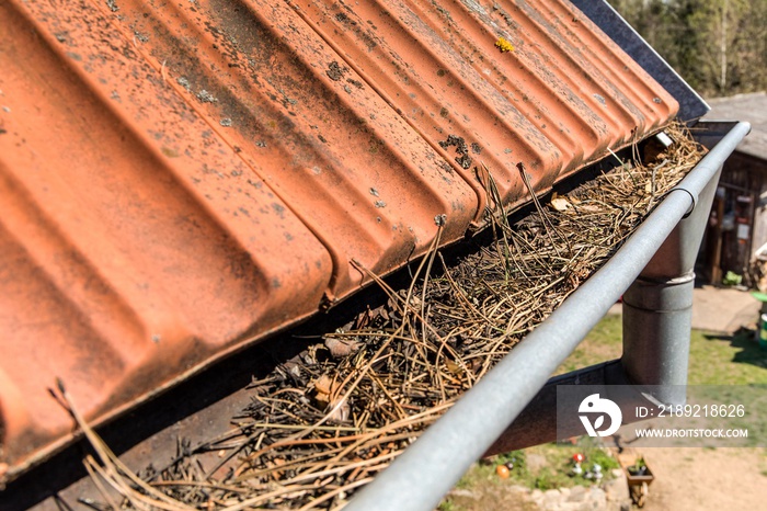 Gutters full of debris needing to be cleaned. Roof gutter clogged with pine needles and debris. Work