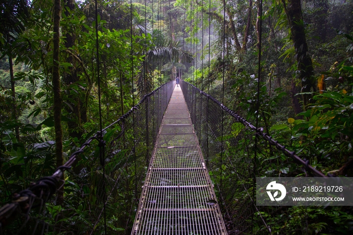 Bridges in Volcan Arenal National Park