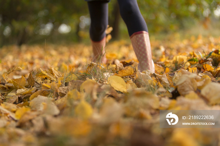 Girl in rubber boots walking in autumn leaves