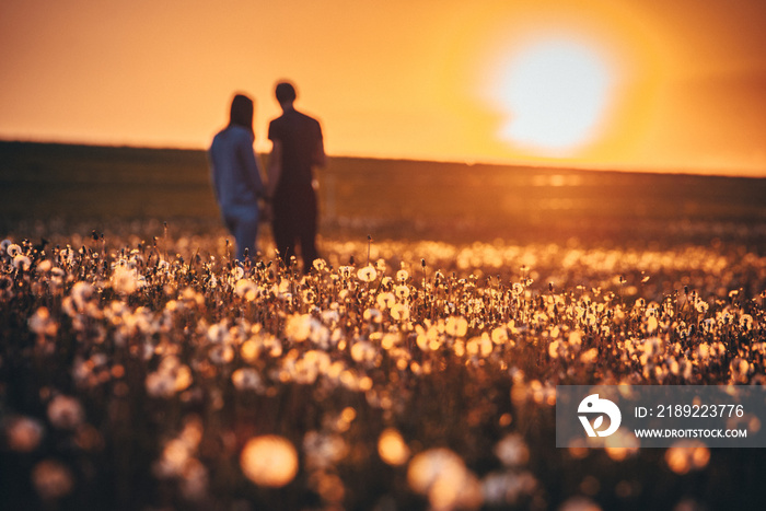 Man and woman walking together on dandelions field. Romantic spring photo, orange colors, sunrise li