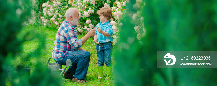Grandfather and grandchild, spring banner. Little helper in garden. lifestyle and family life. Garde