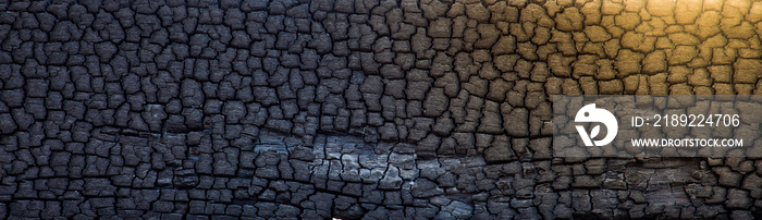 Burned wooden wall texture