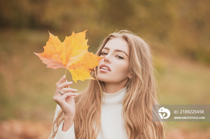 Fashion autumn portrait woman hides her face yellow maple leaves.