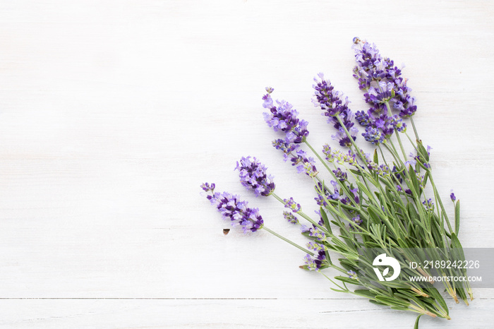 Lavender flowers.