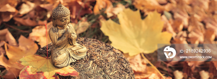 Buddha statuette against the background of autumn foliage, Raw Chinese tea Pu-erh pressed