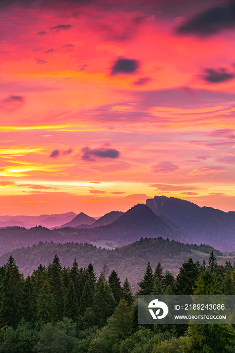 Pieniny