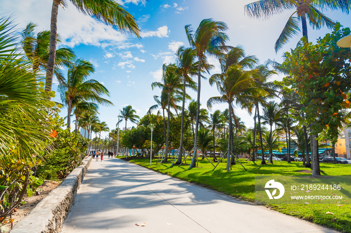 Pedestrian walkway in Lummus Park in Miami Beach