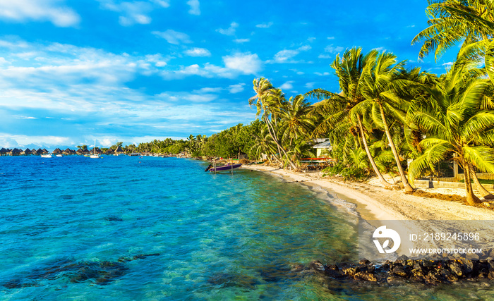 View of the sandy beach with palm trees, Bora Bora, French Polynesia..