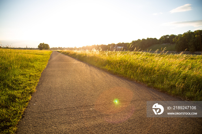 Radweg bei Gegenlicht