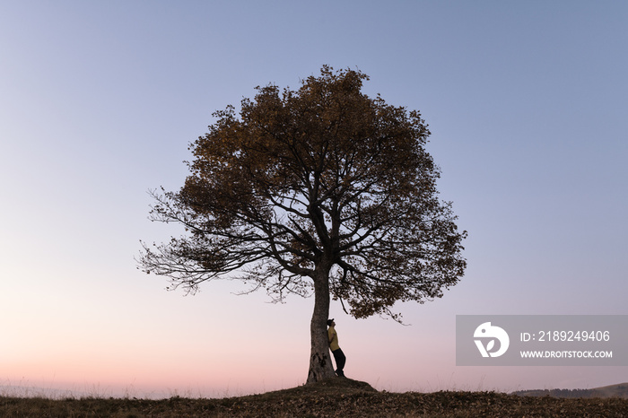 Silhouette of tourist under majestic tree at evening mountains meadow at sunset. Dramatic colorful s