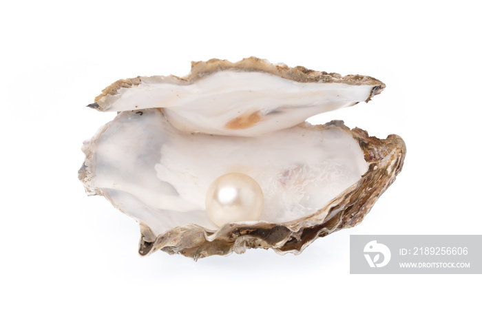 Open oyster with pearl isolated on white background