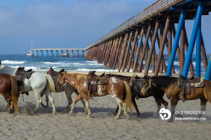 herd of horses walking under pier on the beach