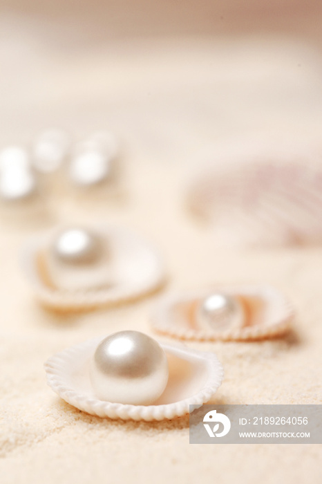 Organic pearls in shells. Beautiful seashells arrangement on the white beach sand. Treasure from the