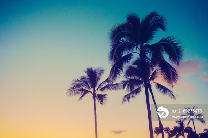 夏威夷日落，棕榈树剪影