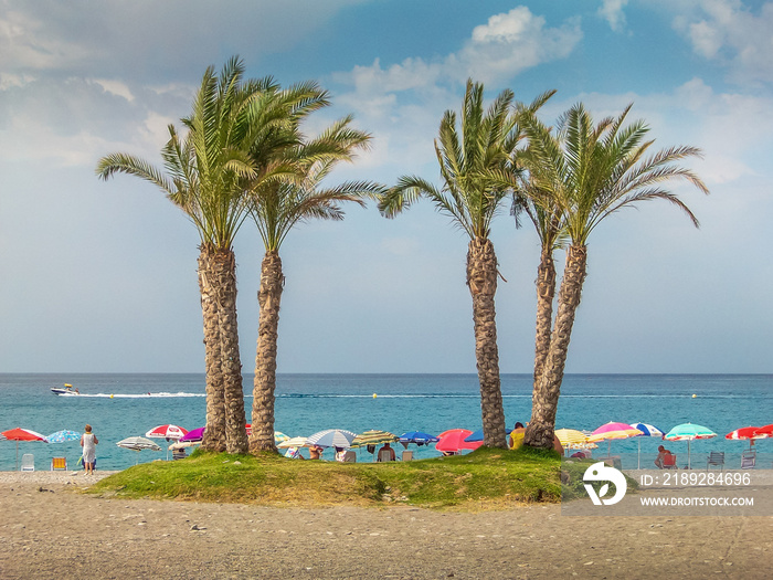 Palm trees on a busy beach of holidaymakers at La Herradura,  Almuñecar. Granada province, Andalusia