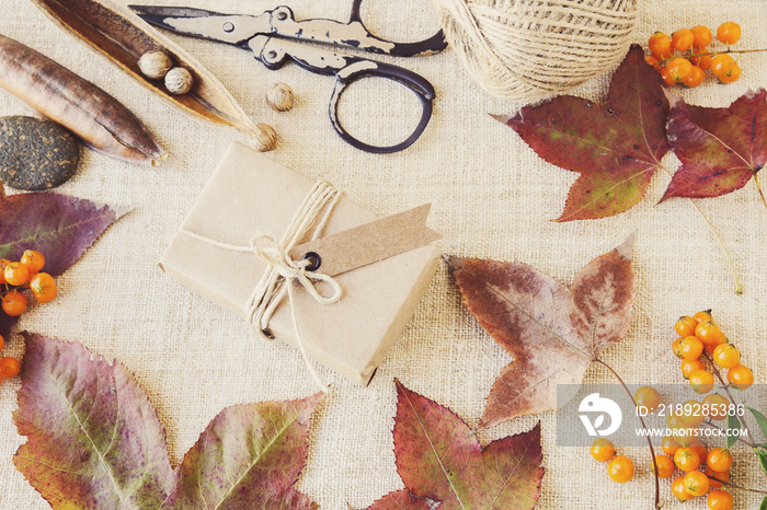 Autumn fall craft mock up setting toning background